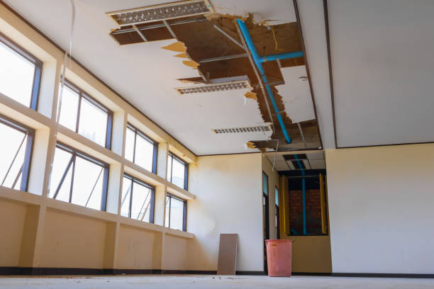 Best Water damage restoration near me  in Dayton, IN
