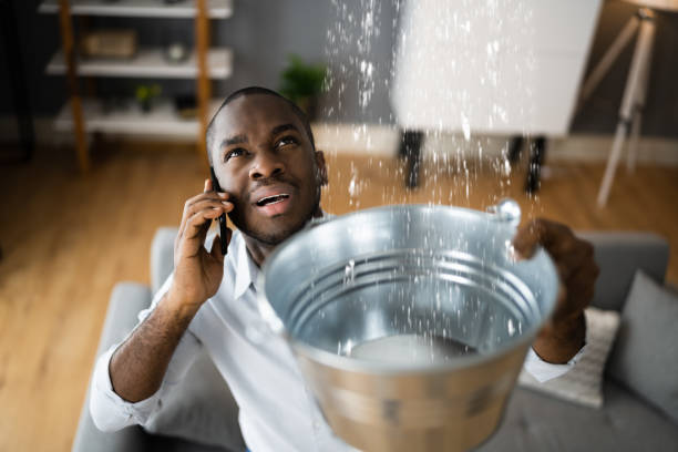 Best Water damage contractors near me  in Dayton, IN