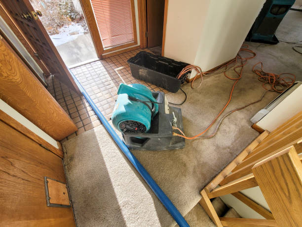 Best Residential water damage restoration  in Dayton, IN