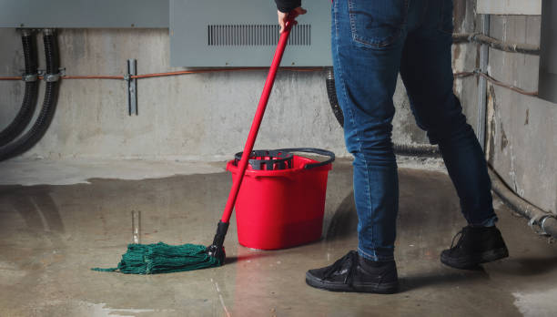 Best Local water damage restoration  in Dayton, IN