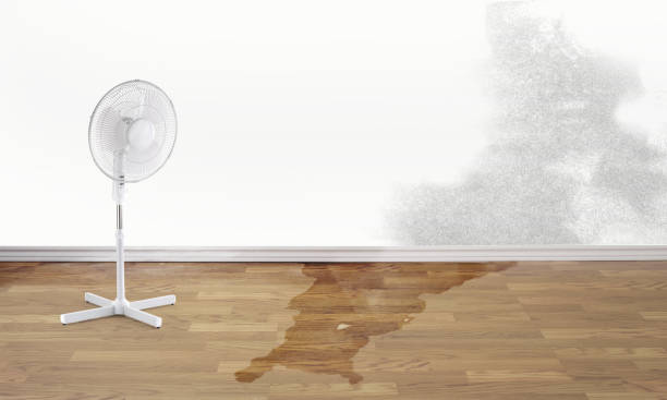 Best Emergency water damage restoration  in Dayton, IN