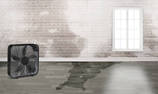 Best Fire Damage Restoration  in Dayton, IN
