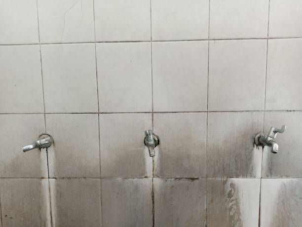 Best Professional water damage repair  in Dayton, IN