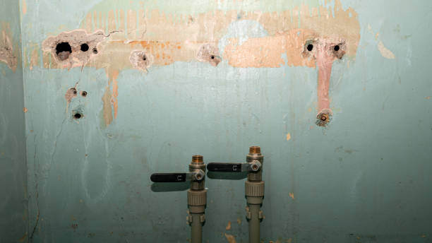 Best Ceiling water damage repair  in Dayton, IN
