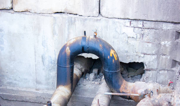 Best Water damage contractors near me  in Dayton, IN
